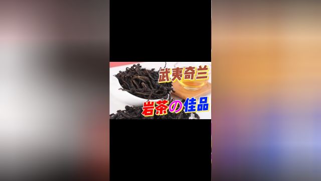 武夷奇兰是武夷岩茶知名品种之一,干茶外型:色泽乌润褐绿,条索紧结匀整; 香气溶于水中,持久不变; 香气:有蜜糖香、兰花香 #茶