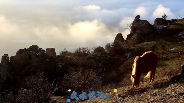 武术谚语:练功如打铁,百练才能成钢