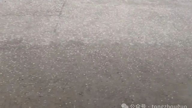 冰雹+暴雨!通州降下全市最大雨!夜间还有明显降雨!