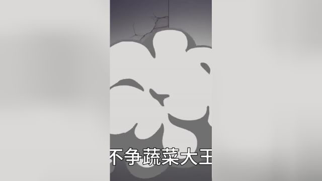 秋葵竟然被称作“植物黄金”?植物科普秋葵难吃秋葵的神仙吃法秋葵的功效与作用每天认识一种蔬菜