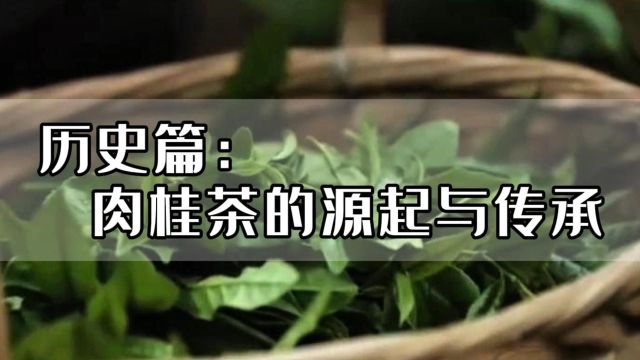 心灵壹号明道茶:肉桂茶的源起与传承!