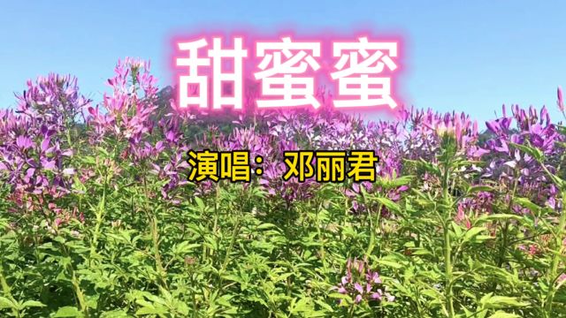 邓丽君一曲《甜蜜蜜》歌声温婉动听