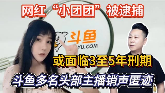 网红“小团团”被逮捕,或面临3至5年刑期,斗鱼多名头部主播销声匿迹