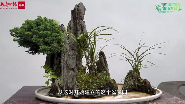 川派盆景特别在哪儿?盆景大师这样说