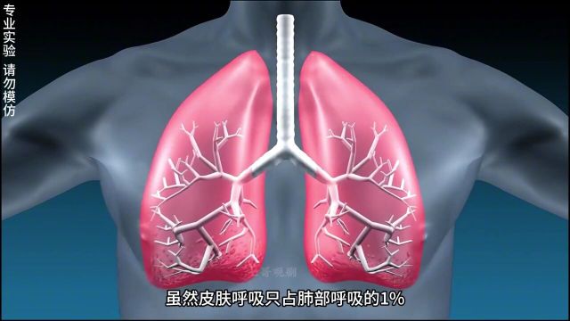 纪录片解说涨识冷识科学小实验金漆