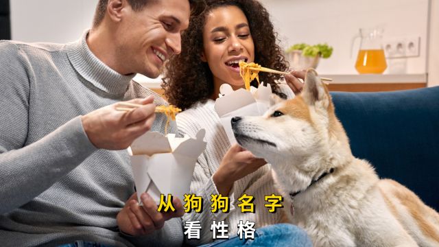 从狗狗名字,可以了解它们的性格哦!