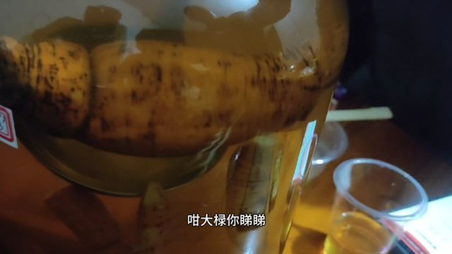 成斤重嘅牛大力浸酒,确实靓