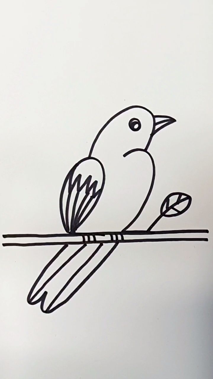 用两个数字2画小鸟,超级简单,一学就会 #儿童简笔画 #育儿简笔画 #简