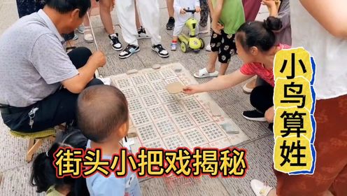 街头小把戏揭秘，小鸟算姓背后的科学原理，灵鸟叼签鸟卦江湖戏法_高清1080P在线观看平台_腾讯视频
