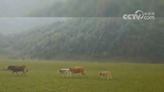 关注极端天气,重庆巫溪遭遇雷雨大风冰雹天气