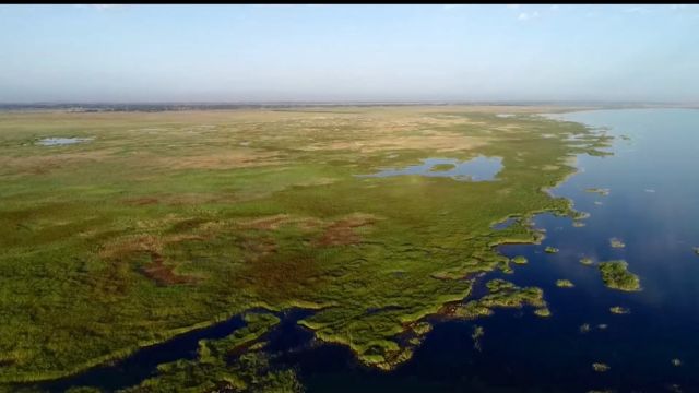 金塔北海子湿地公园,来这里感受天高云淡、空灵幽静的旋律之美.