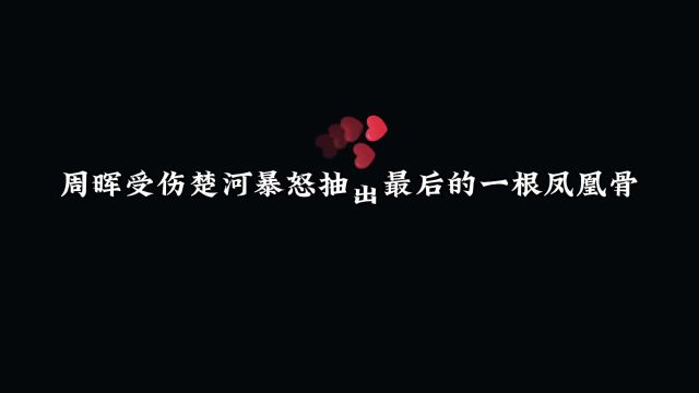 向奔赴流泪周晖把自己的魔骨送给凤凰周晖受伤凤凰怒抽自己的最后一根凤凰骨救她配音 提灯映桃花 #周晖凤凰