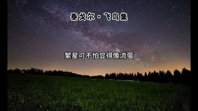 泰戈尔ⷮŠ飞鸟集48