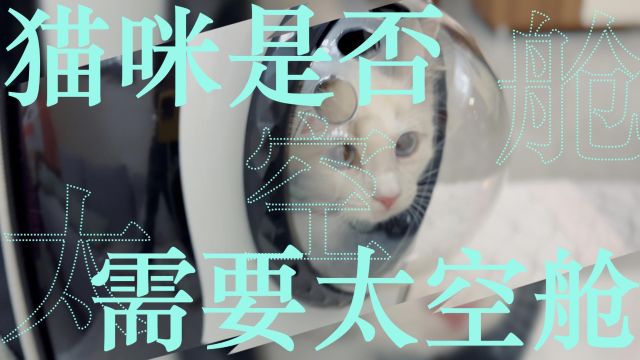 猫咪太空舱买了又退了?