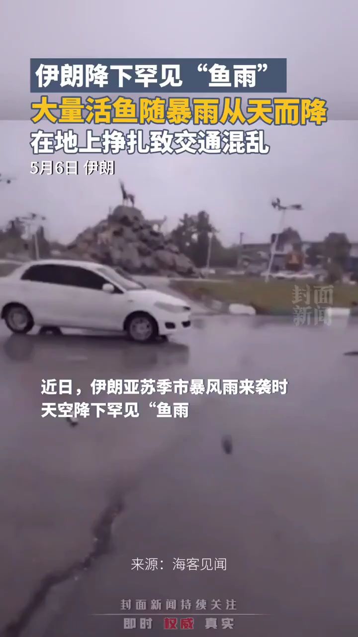 伊朗降下罕见“鱼雨”:大量活鱼随暴雨从天而降,在地上挣扎致交通混乱_高清1080P在线观看平台_腾讯视频