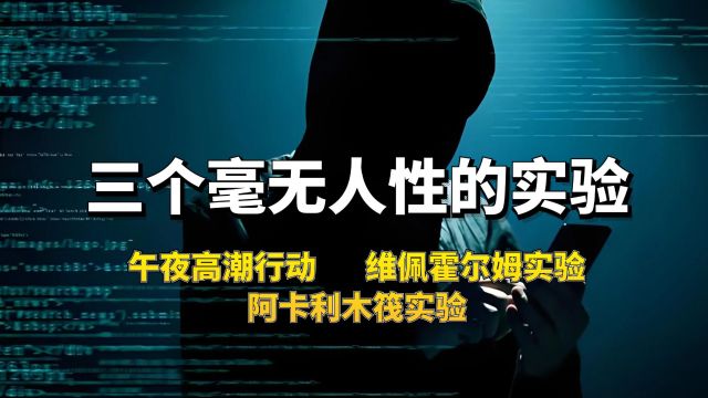 三个毫无人性的实验午夜高潮行动、维佩霍尔姆实验、阿卡利木筏实验