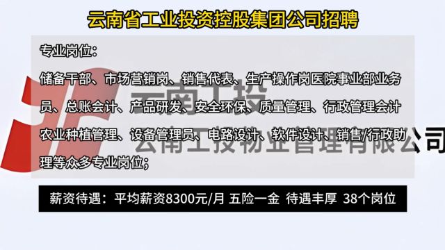 云南省工业投资控股集团有限责任公司招聘!