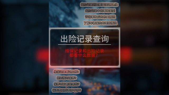 维保记录和出险记录怎么看数据?如何查询维保出险?