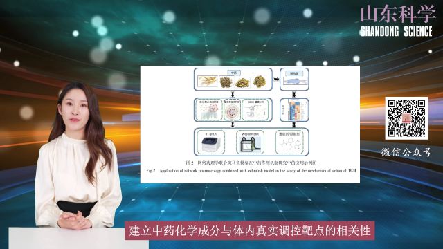 【山东科学】刘可春:网络药理学和斑马鱼模型在中药药效物质及作用机制研究中的应用进展