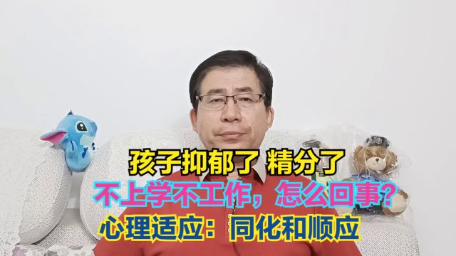 孩子抑郁精分,不上学,不工作,怎么回事?心理适应:同化和顺应