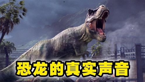 12种恐龙的真实声音，霸王龙的叫声一定颠覆你的认知#恐龙#动物科普#史前巨兽#侏罗纪_高清1080P在线观看平台_腾讯视频