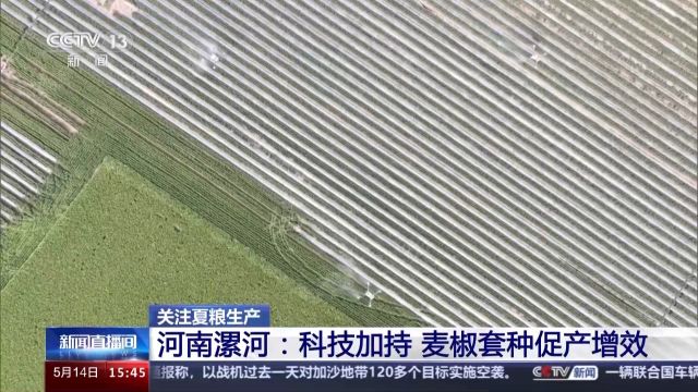 加强田管保丰收 这些科技手段省时省力还省心