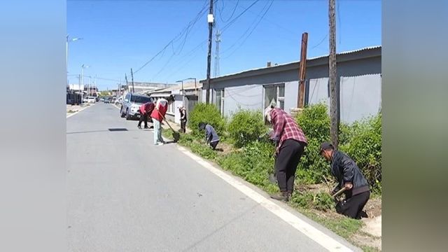 长春市双阳区双营乡双营社区开展人居环境整治活动