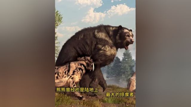 熊熙曾经也是陆地最强战力之王#史前巨兽 #古生物 #远古生物