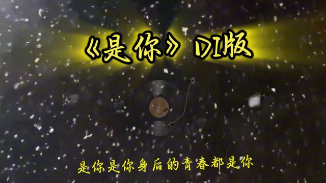 最近爆火的DJ神曲