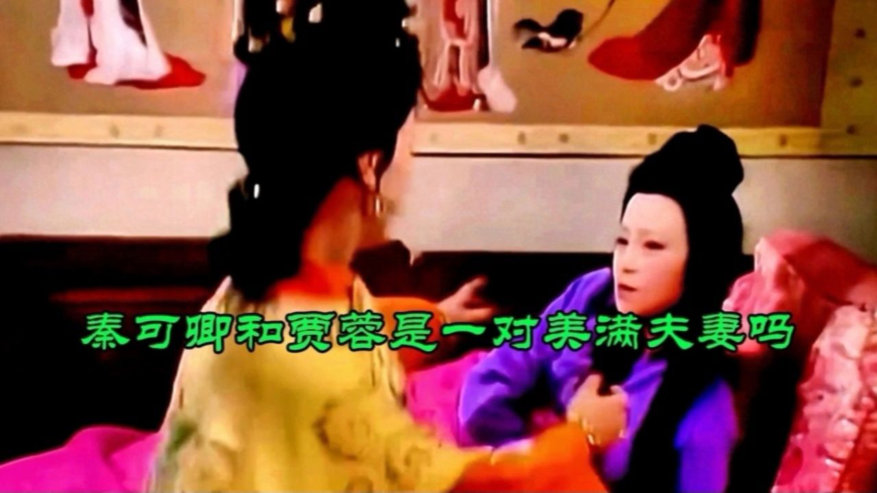 秦可卿和贾蓉是一对美满夫妻吗