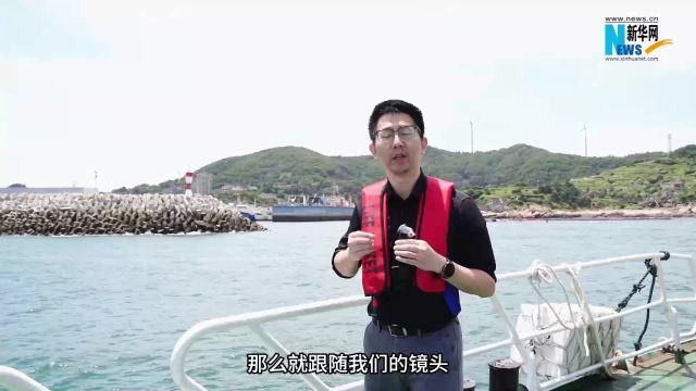 看看啥叫“海上牧场”