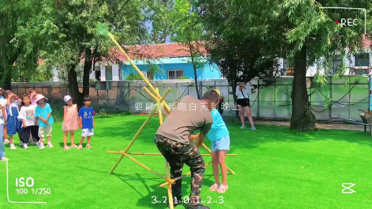 梧桐林项目介绍-罗马炮架