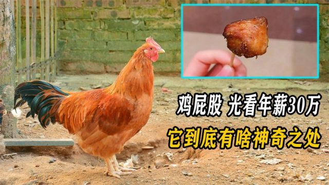 每天看鸡屁股年薪30万,研究鸡屁股嘉奖1300万,它是有啥神奇的吗