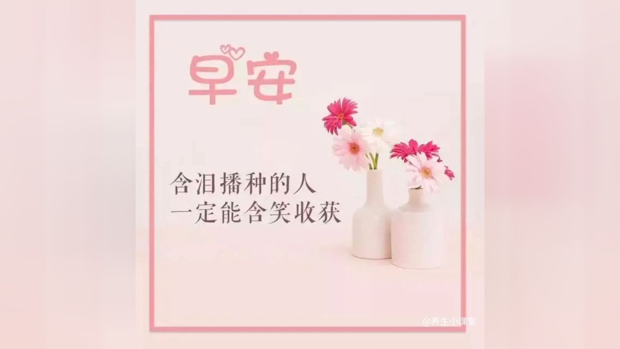 美好的一天又开始了