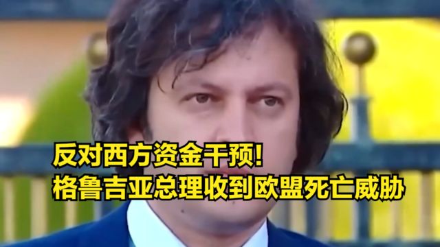 反对西方资金干预!格鲁吉亚总理收到欧盟死亡威胁:真是令人震惊