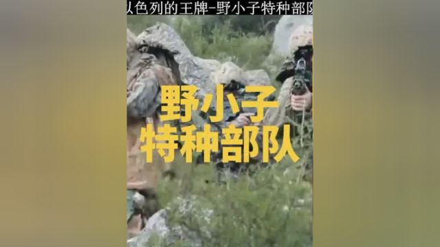 被誉为跨国营救行动教科书的部队,以色列的王牌野小子特种部队到底有多强#王牌部队 #以色列 #战术小队#野小子