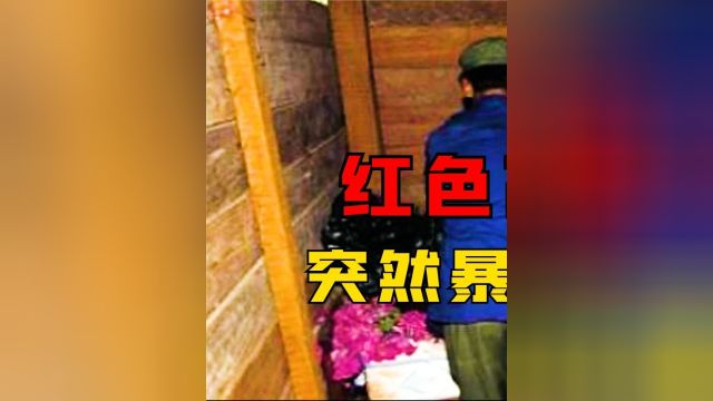 1998年,“红色魔王”波尔布特暴毙真实影像,尸体被汽油就地焚烧#波尔布特#柬埔寨#真实影像 1