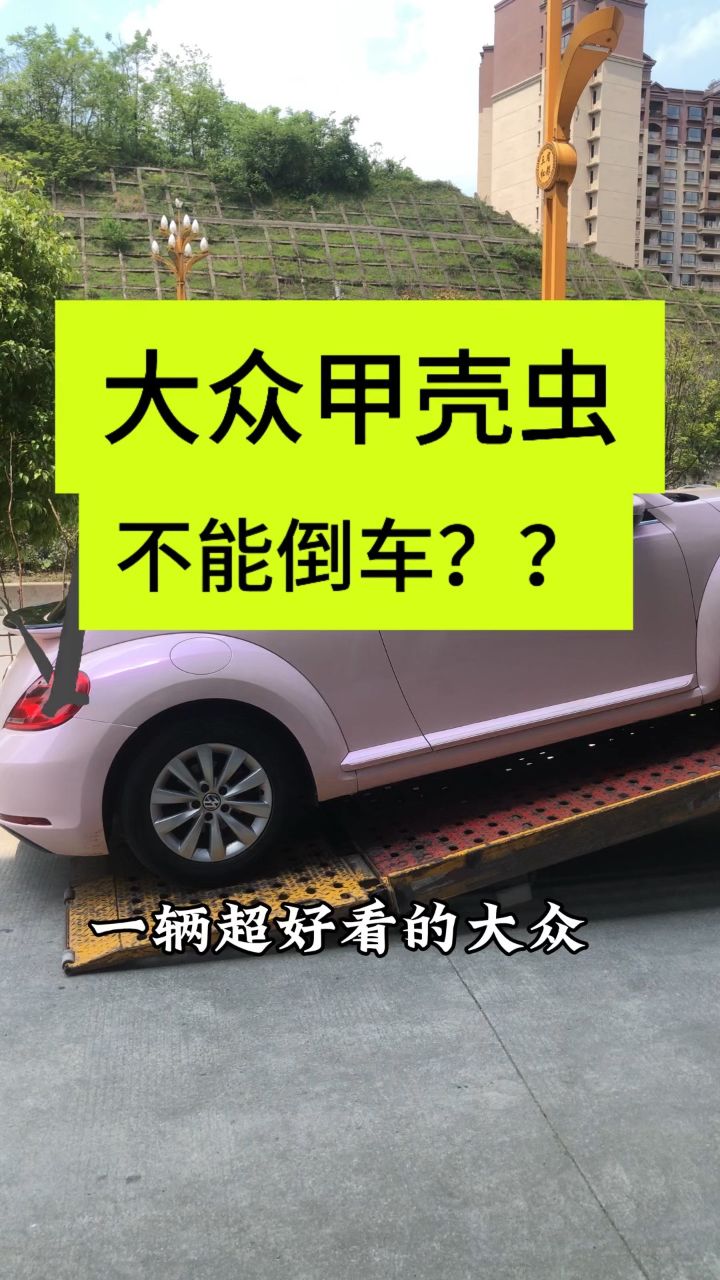 这款大众甲壳虫也太好看了吧