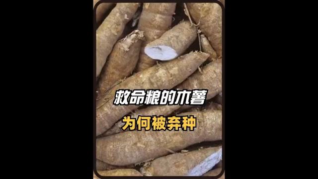 中国木薯90%靠进口,曾是一代人“救命粮”的木薯,为何被弃种?#农业种植#奇闻趣事#科普一下#木薯#种植 1