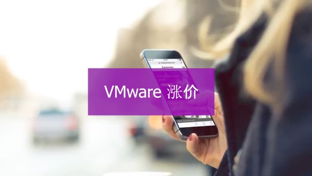 失去了一家有24000台虚拟机的大客户,VMware提价15倍