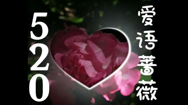 520爱情新语咋表白