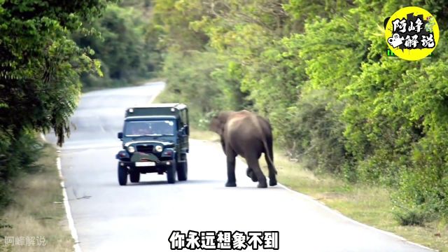 愿世上所有的孩子平安健康,好人一生平安