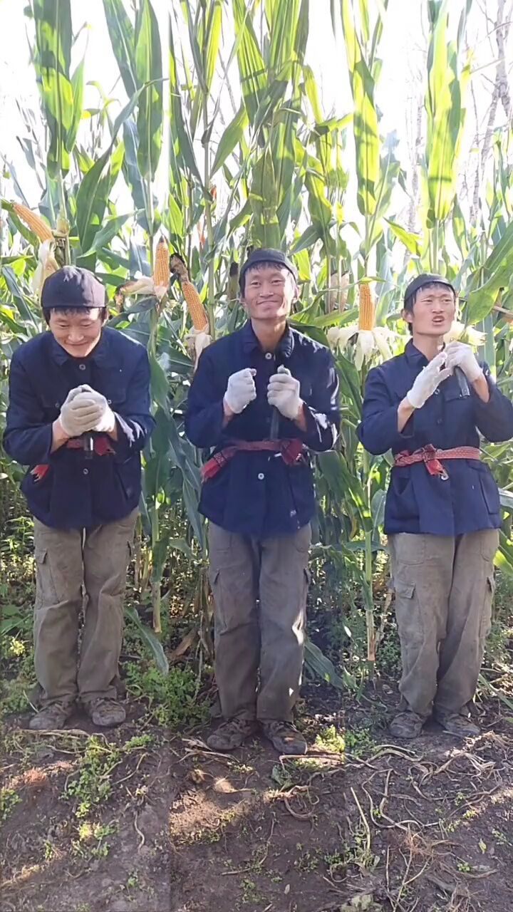 农村小建哥u: 三兄弟为大家展示一首好听的歌《拉萨夜雨》喜欢就点个