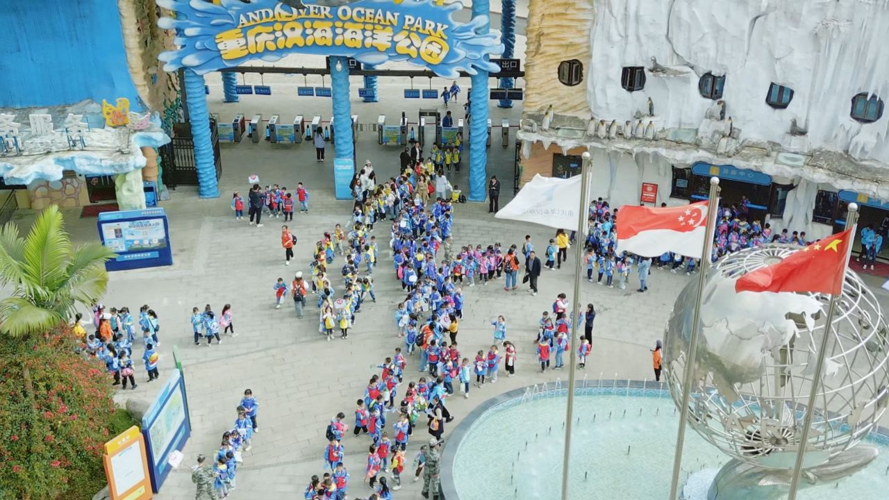 六一遛娃好去处,重庆汉海海洋公园太好玩啦!