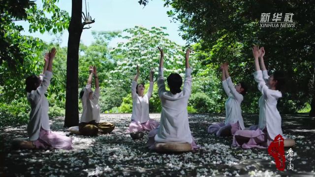 千城百县看中国|夏日同安 山野桐花烂漫