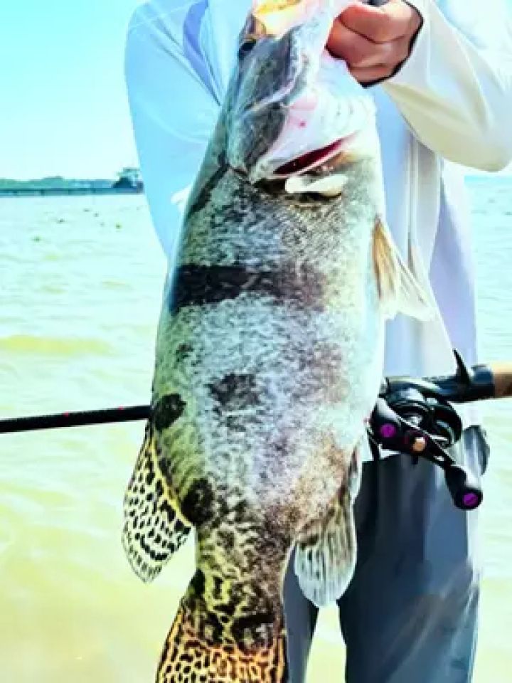 路亚鳜鱼 #鳜鱼季 #鳜鱼 #路亚野钓