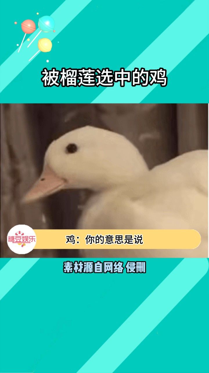 虽然知道人家鸡噶了笑出声不对,但我忍不住