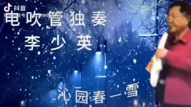 沁园春雪 李少英 电吹管独奏