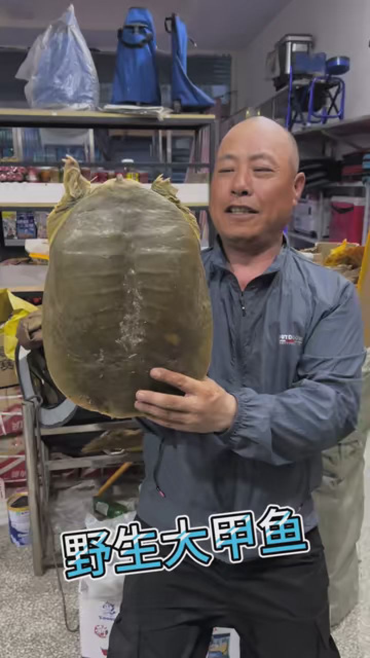 钓鱼的乐趣只有钓鱼人懂 #钓鱼了 #钓巨物 水库的野生大甲鱼就是漂亮