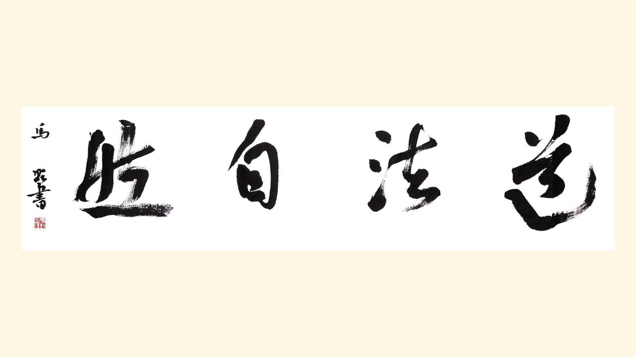 书法家:马乾 作品《道法自然》